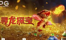 ayx手机版登录入口免费版