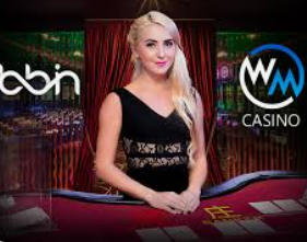 ayx手机版登录入口最新版